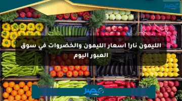 الليمون نار! أسعار الليمون والخضروات في سوق العبور اليوم